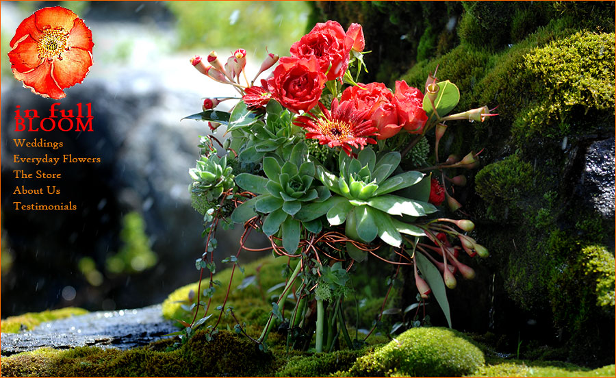 In Full Bloom -  Shelburne, Vermont's creative florists