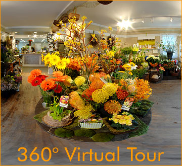 Virtual Tour of In Full Bloom Store